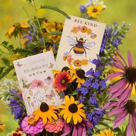 Pollinator Garden Seed Mix